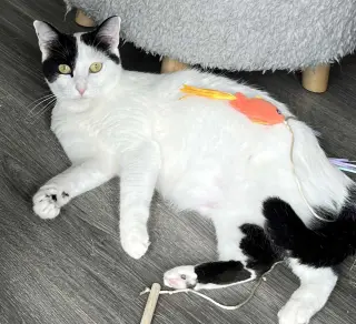 MAMA GABBY