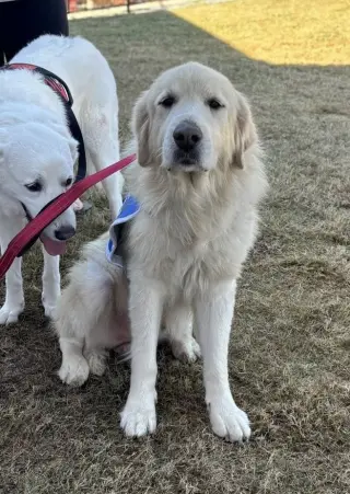 Jamie