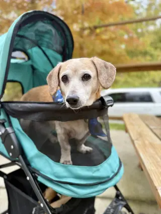 Tucker