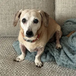 Tucker