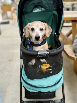 Tucker