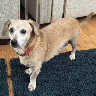 Tucker