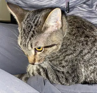 Cleopatra