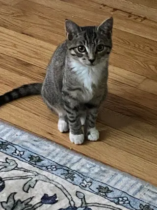 Bernadette2 (Bernie)