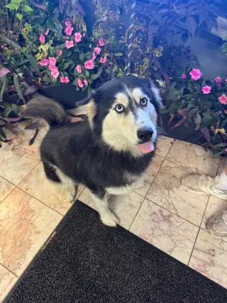 Seyla