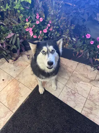 Seyla