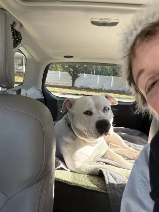 SAMMY