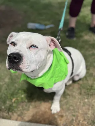 SAMMY