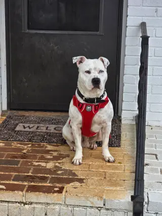 SAMMY
