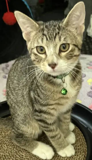 Jericho
