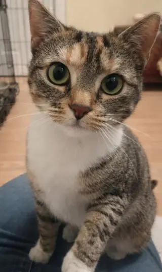 Molly