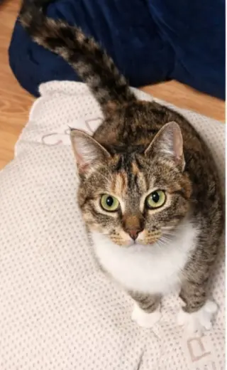 Molly