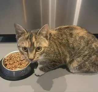 Molly