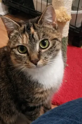 Molly