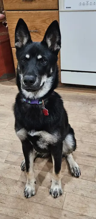 Frida