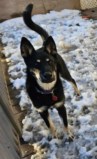 Frida