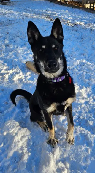 Frida