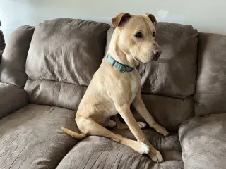 Marley Mo