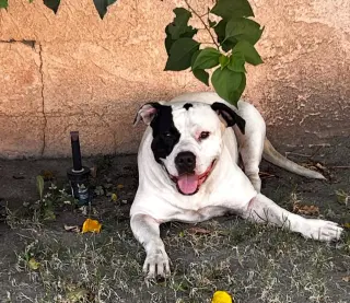 Ethel