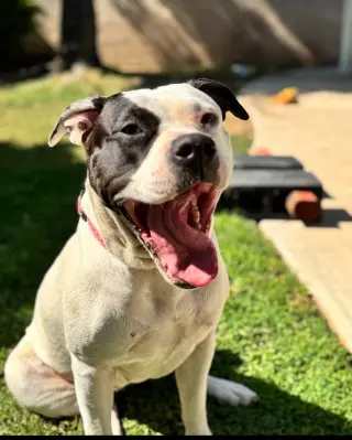Ethel