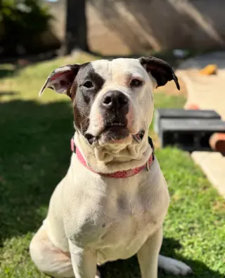Ethel