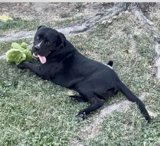 Fred