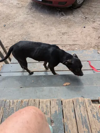 Bella