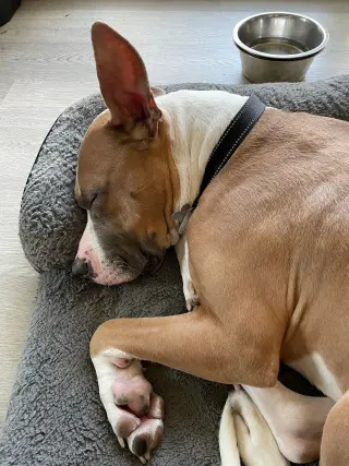 Prince