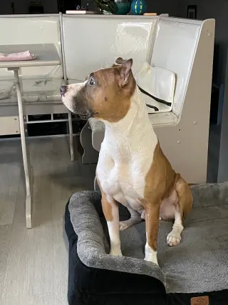 Prince