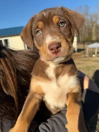 Shelby Oct 25