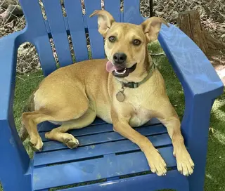 Suzie