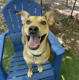 Suzie
