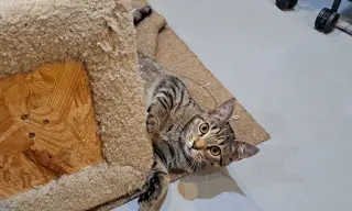 Lucky