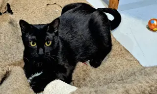 Winnie