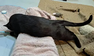 Winnie