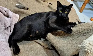Winnie