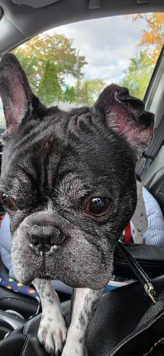 Chester