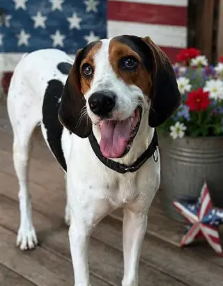 Dalton
