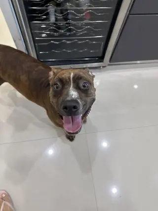 COURTESY POST: Canela
