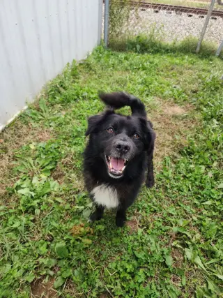 Max