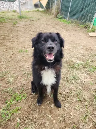 Max
