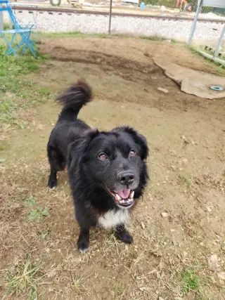 Max