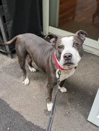 King (from NYC)