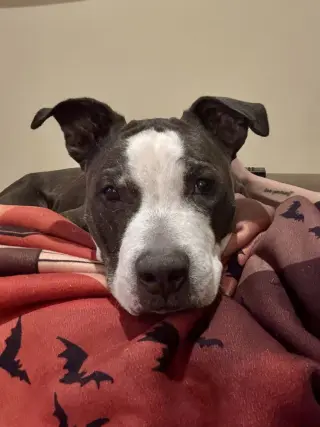 King (from NYC)