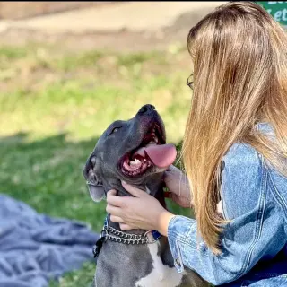 Gigi