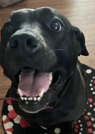 Chloe