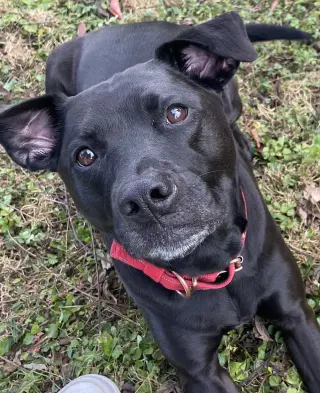 Chloe