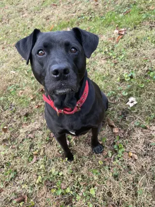 Chloe