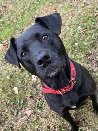 Chloe