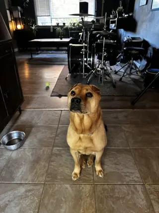 Bubba
